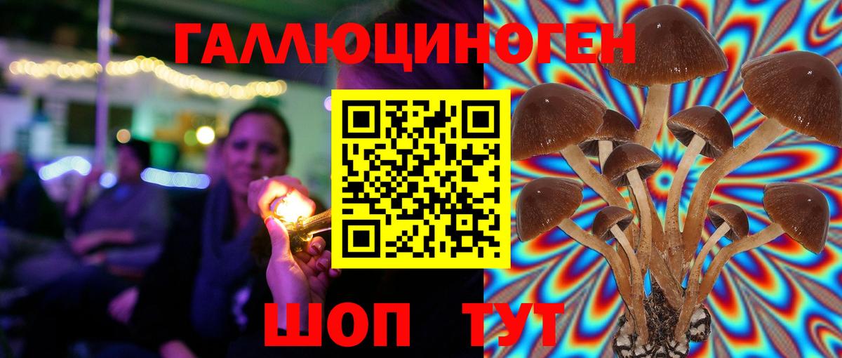Галлюциногенные грибы MAGIC MUSHROOMS  дарнет шоп  Вход с VPN  Красный Сулин  Галлюциногенные грибы Psilocybe 