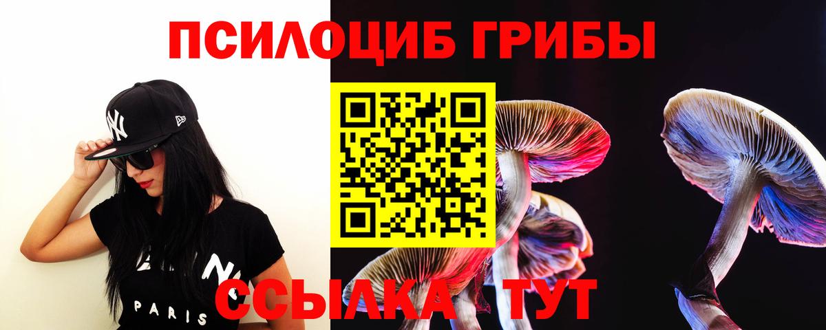 Псилоцибиновые грибы Magic Shrooms Красный Сулин
